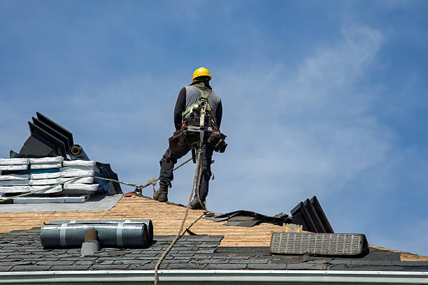 Professional Gutter Installation technician working in Land O' Lakes, FL